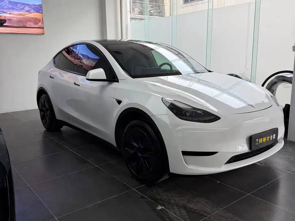 Tesla Model Y — фото 2
