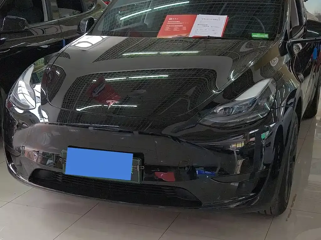 Tesla Model Y — фото 1