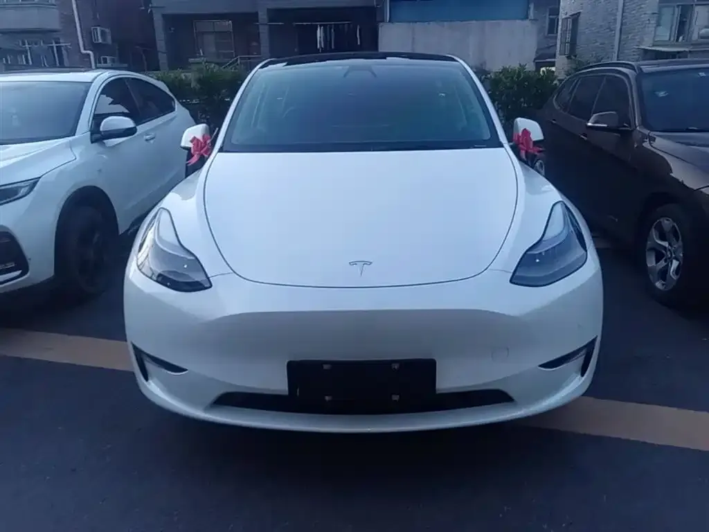 Tesla Model Y — фото 3