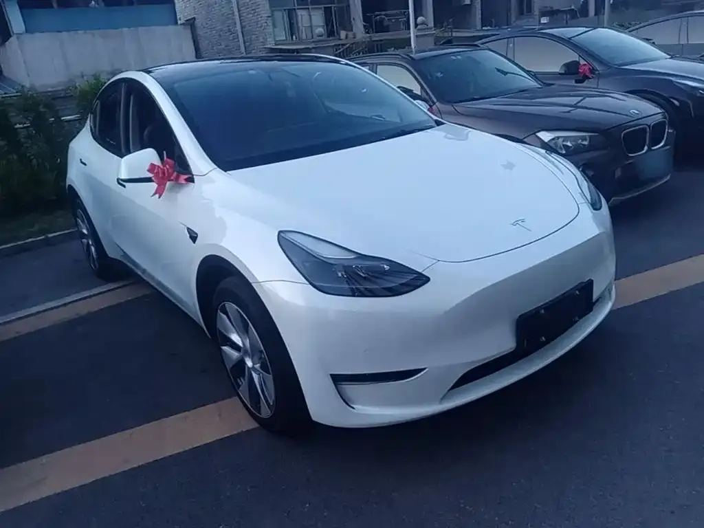 Tesla Model Y — фото 8
