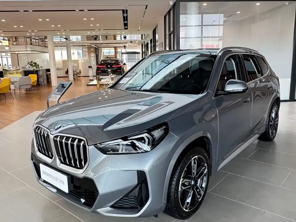 BMW X1 — фото 1