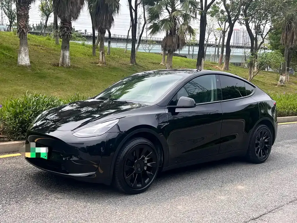 Tesla Model Y — фото 1