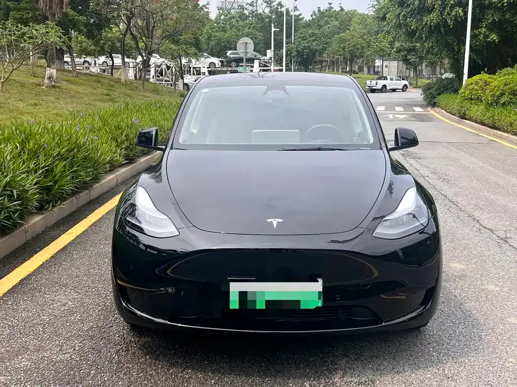 Tesla Model Y — фото 8