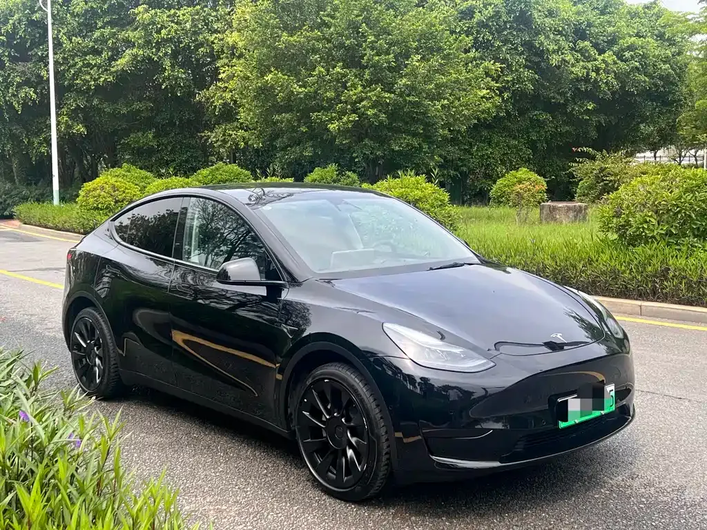 Tesla Model Y — фото 10