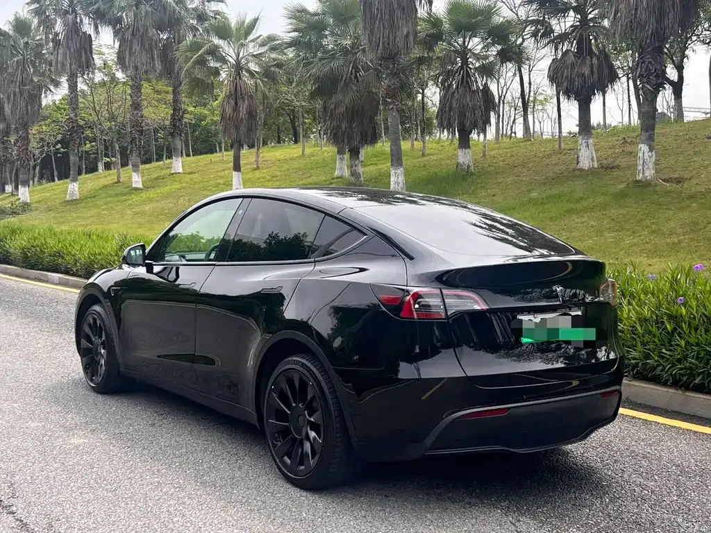 Tesla Model Y — фото 7