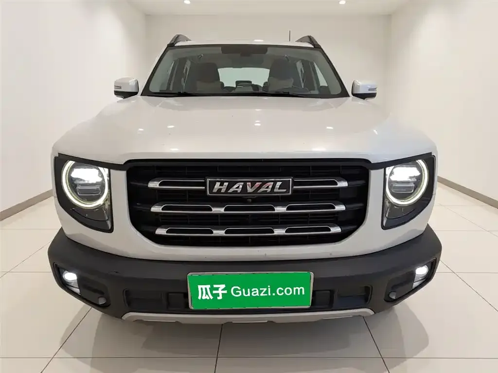Haval Big Dog — фото 10