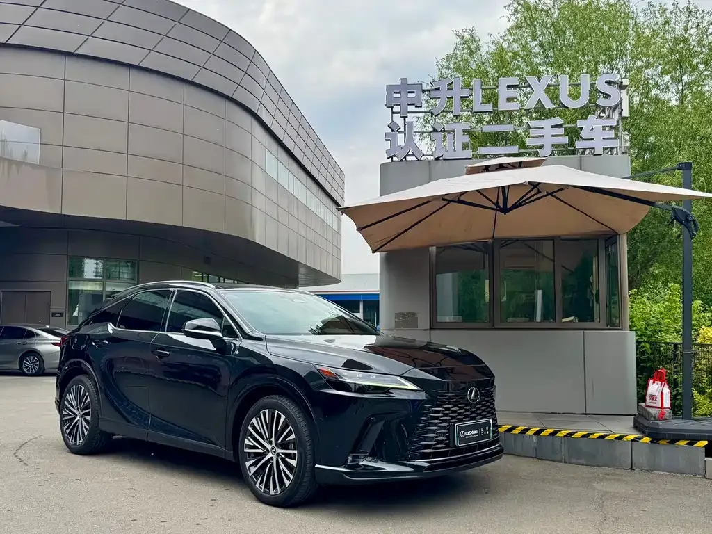 Lexus RX New Energy