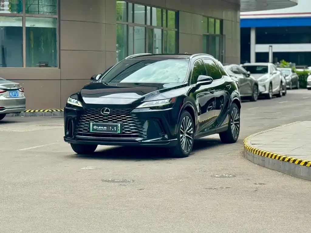 Lexus RX New Energy 2023 из CN, фото 4