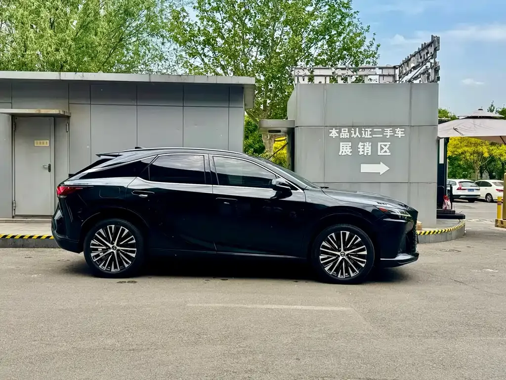 Lexus RX New Energy 2023 из CN, фото 10