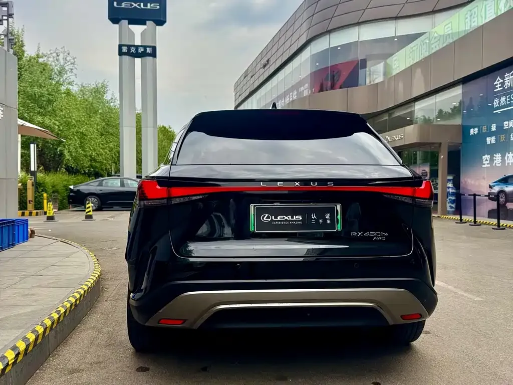 Lexus RX New Energy 2023 из CN, фото 8