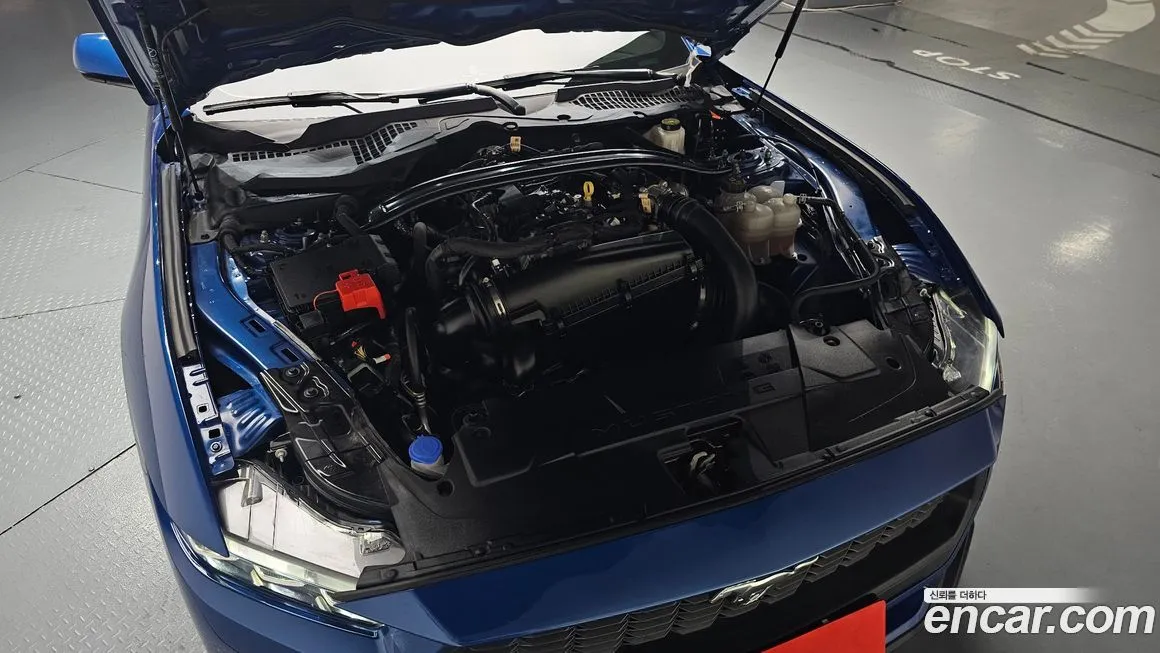 Ford Mustang 2024 из KR, фото 6
