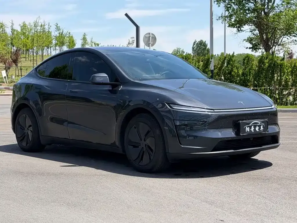Tesla Model Y — фото 9