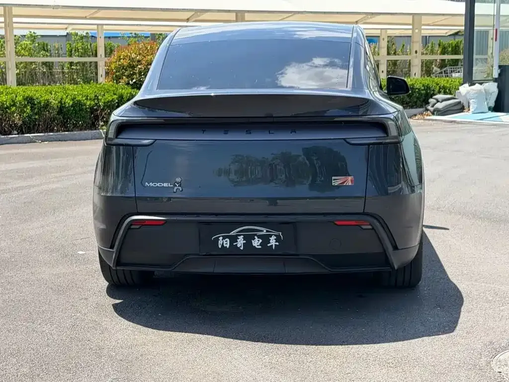 Tesla Model Y — фото 5