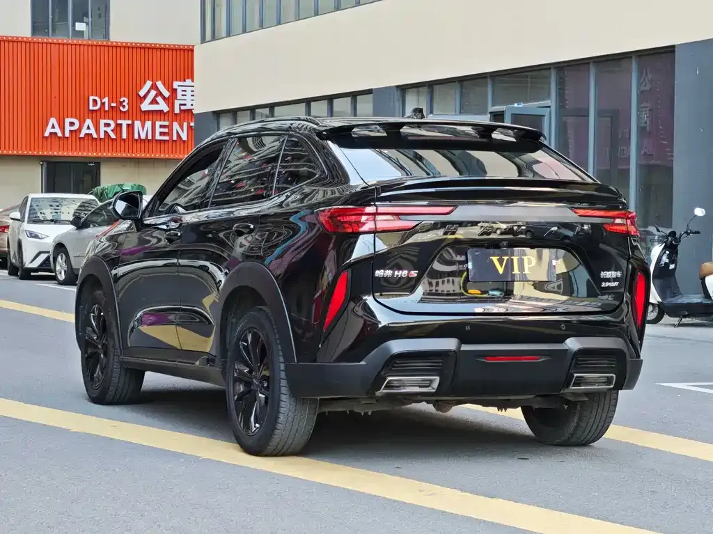 Haval H6S 2022 из CN, фото 6