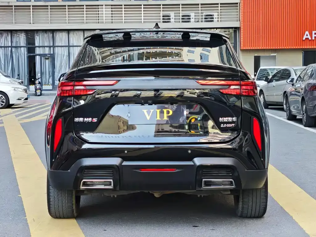 Haval H6S 2022 из CN, фото 5