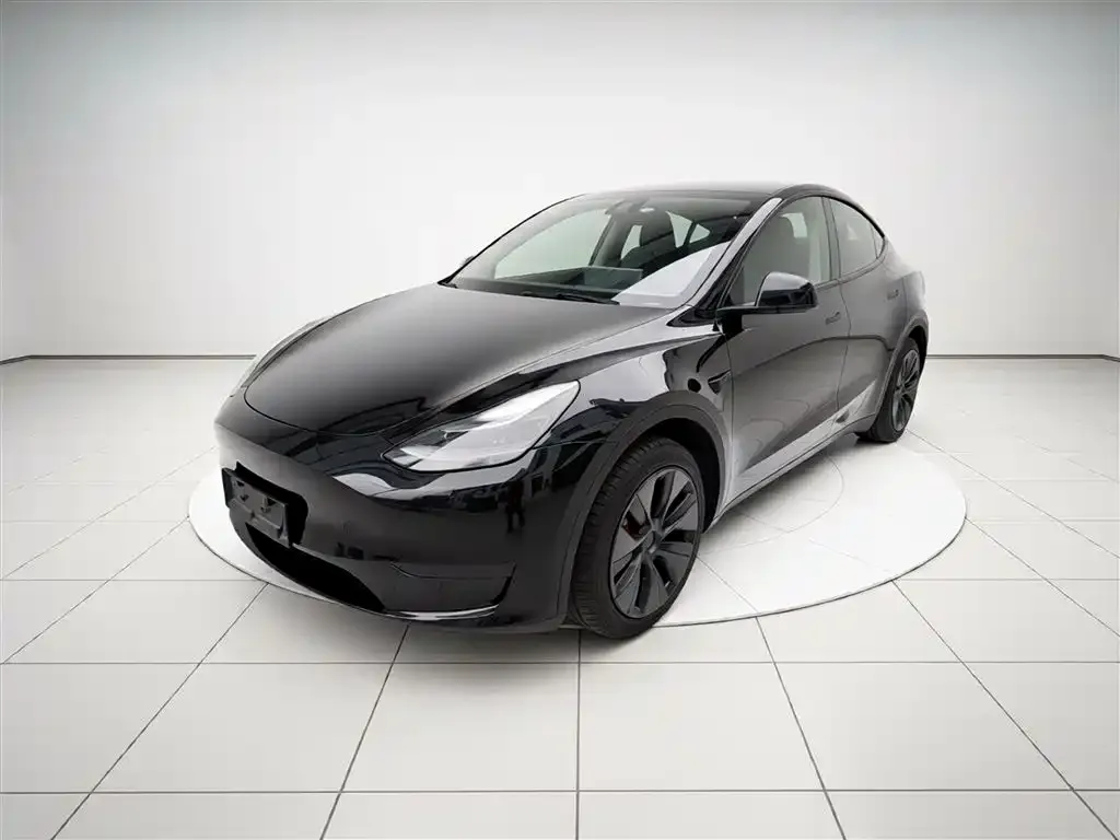 Tesla Model Y — фото 5