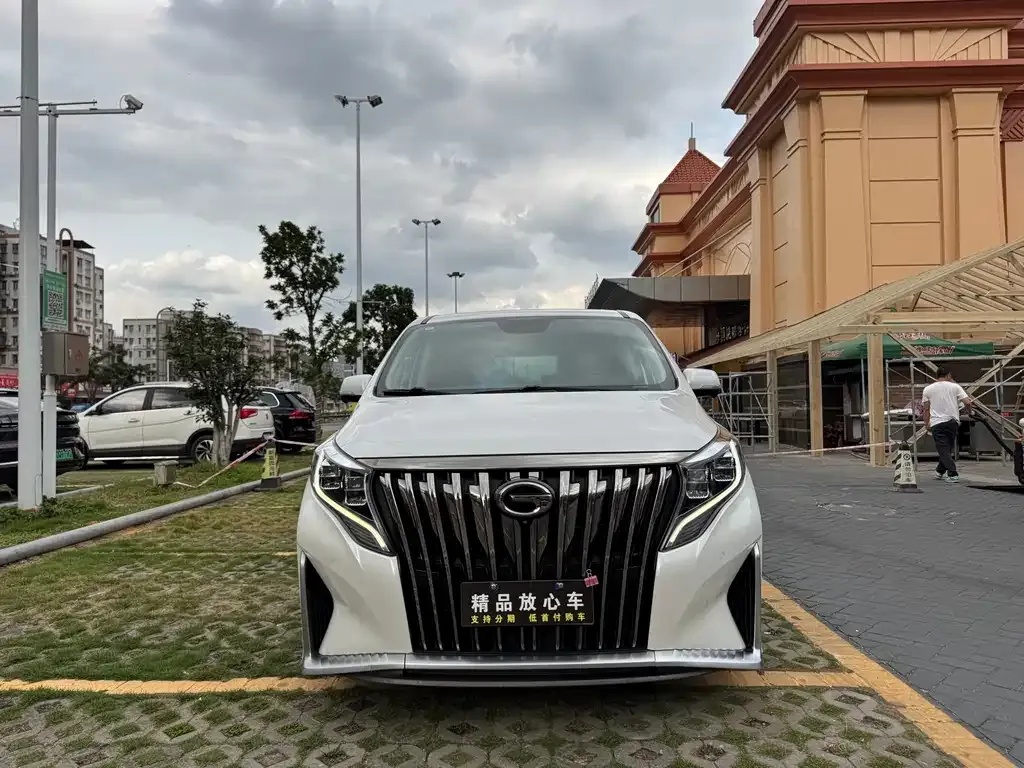 GAC Motor Trumpchi M8 2023 из CN, фото 8