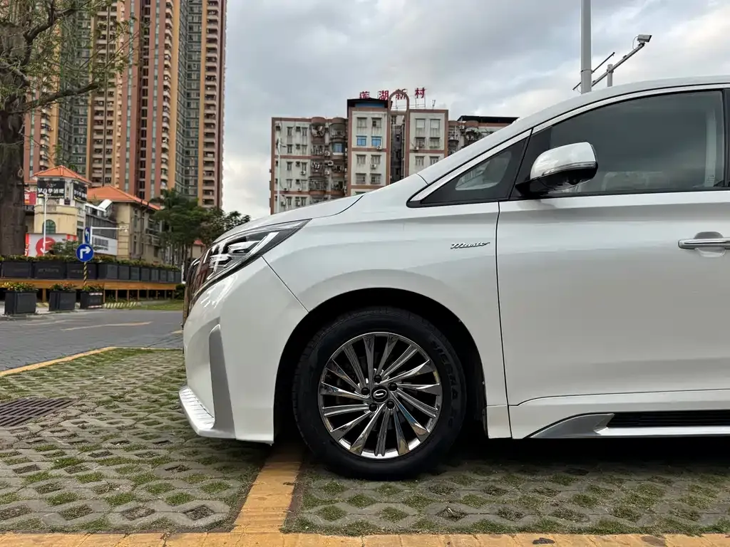 GAC Motor Trumpchi M8 2023 из CN, фото 6