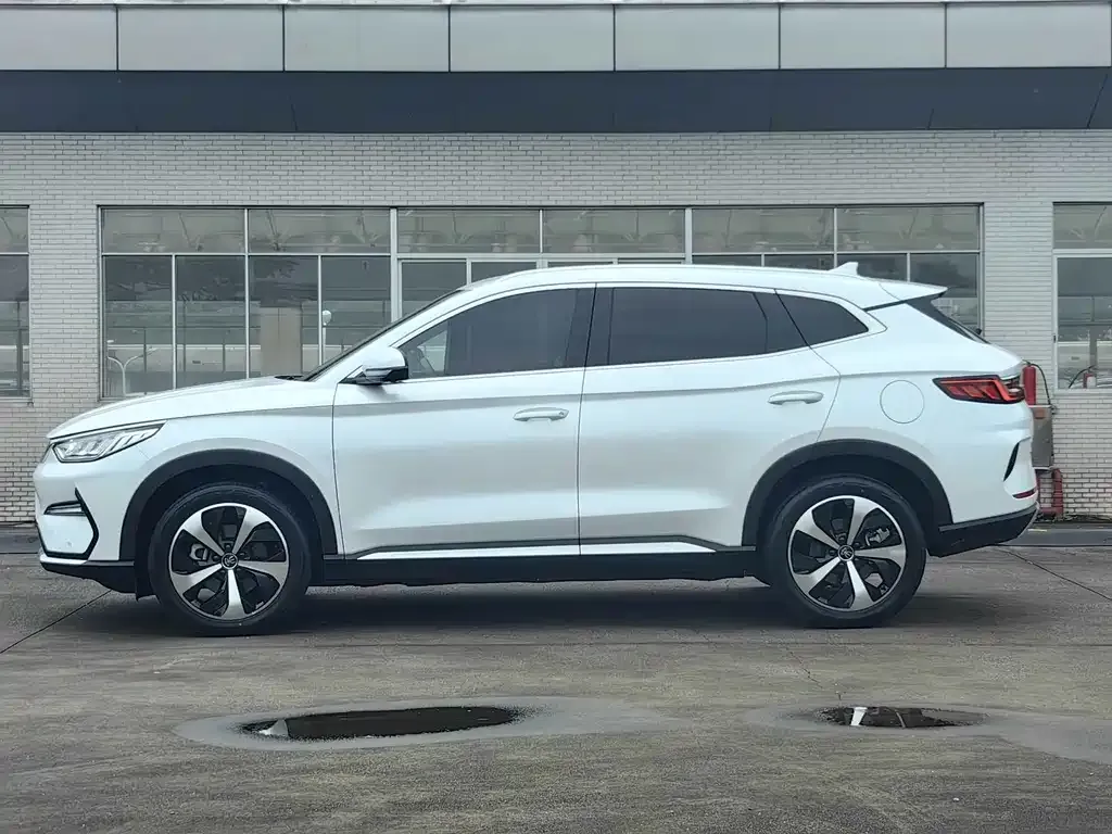 BYD PLUS New Energy — фото 8