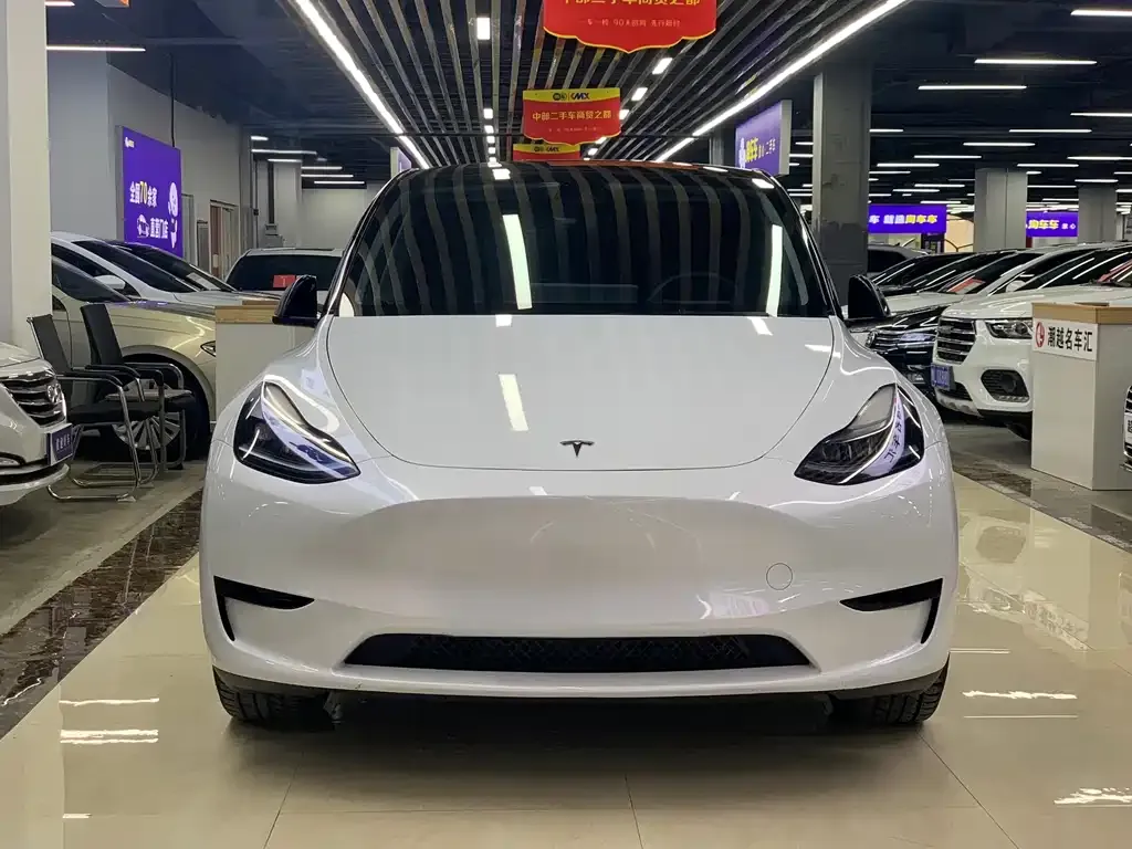 Tesla Model Y — фото 9