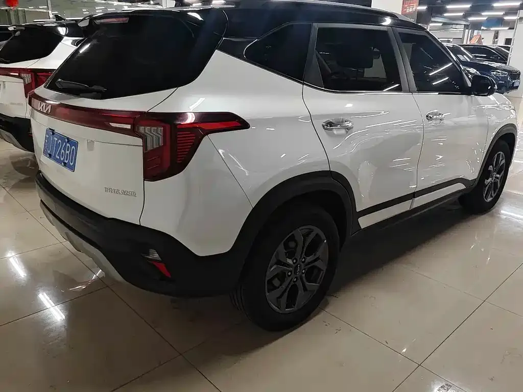 Kia Seltos 2023 из CN, фото 5