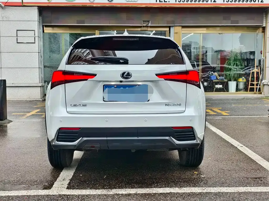 Lexus NX 2021 из CN, фото 7