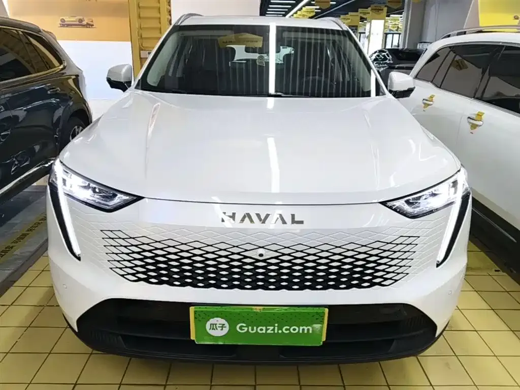 Haval Xiaolong MAX 2025 из CN, фото 8