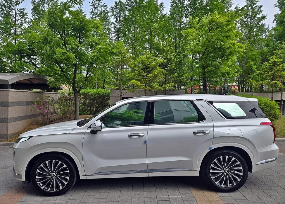 Hyundai Palisade — фото 6
