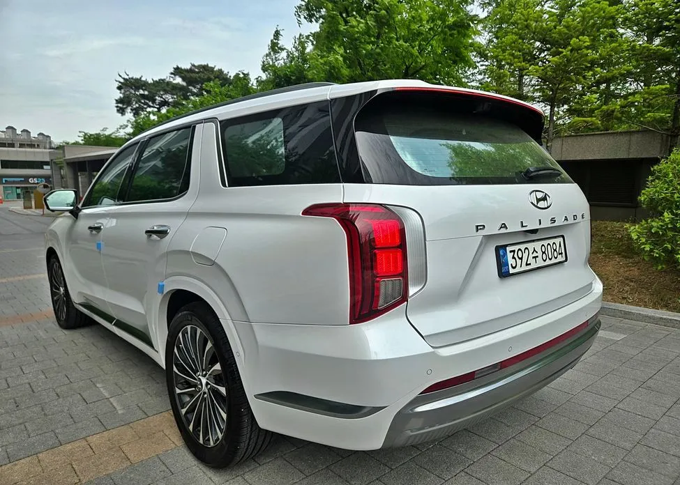 Hyundai Palisade — фото 8