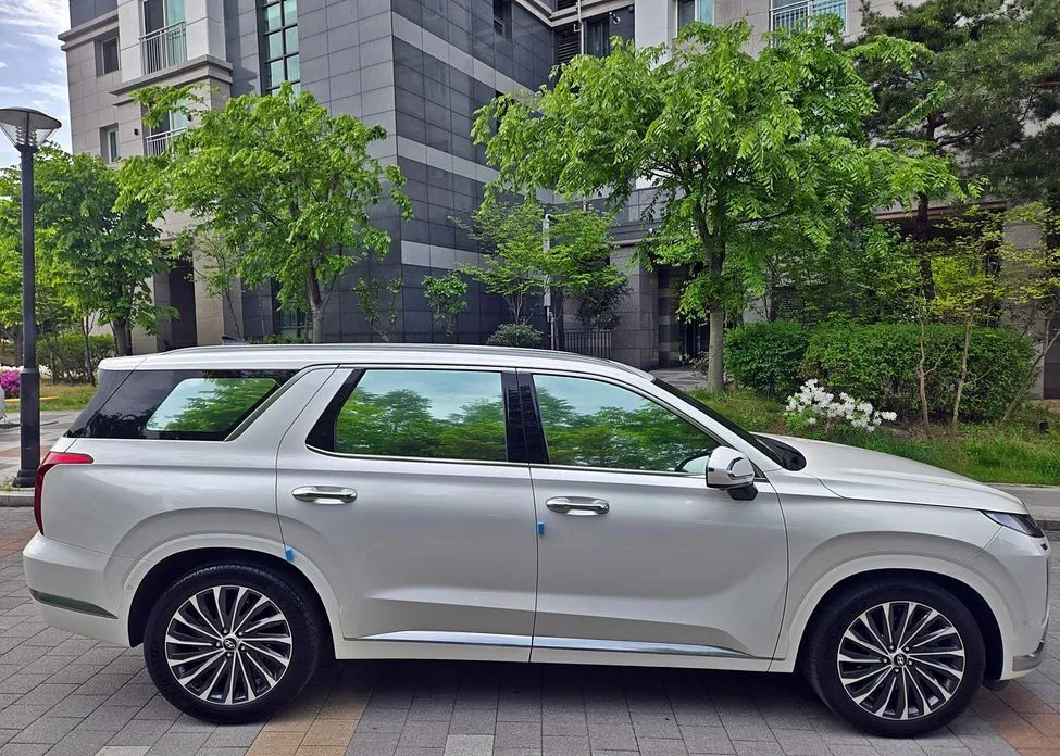 Hyundai Palisade — фото 9