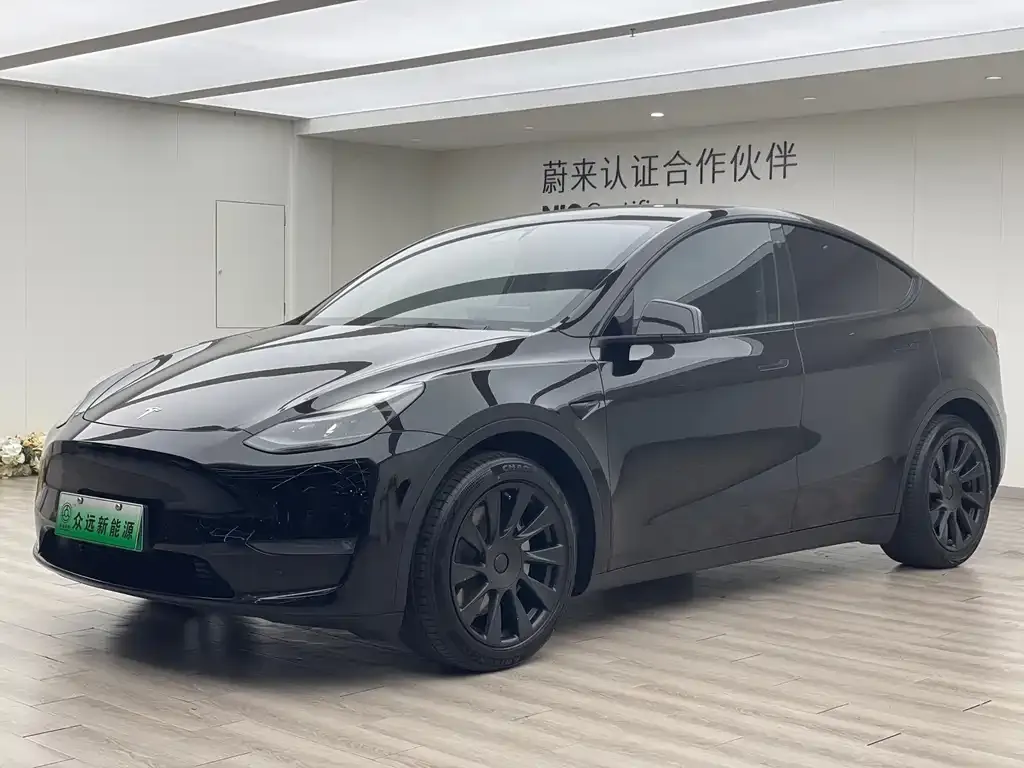 Tesla Model Y 2021 из CN, фото 1