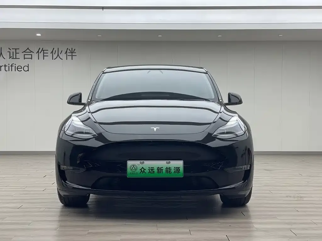 Tesla Model Y 2021 из CN, фото 5