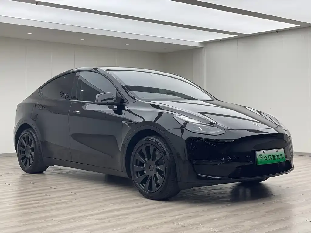 Tesla Model Y 2021 из CN, фото 8