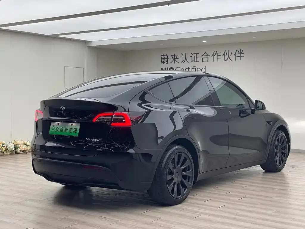 Tesla Model Y 2021 из CN, фото 6