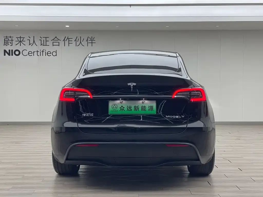 Tesla Model Y 2021 из CN, фото 4