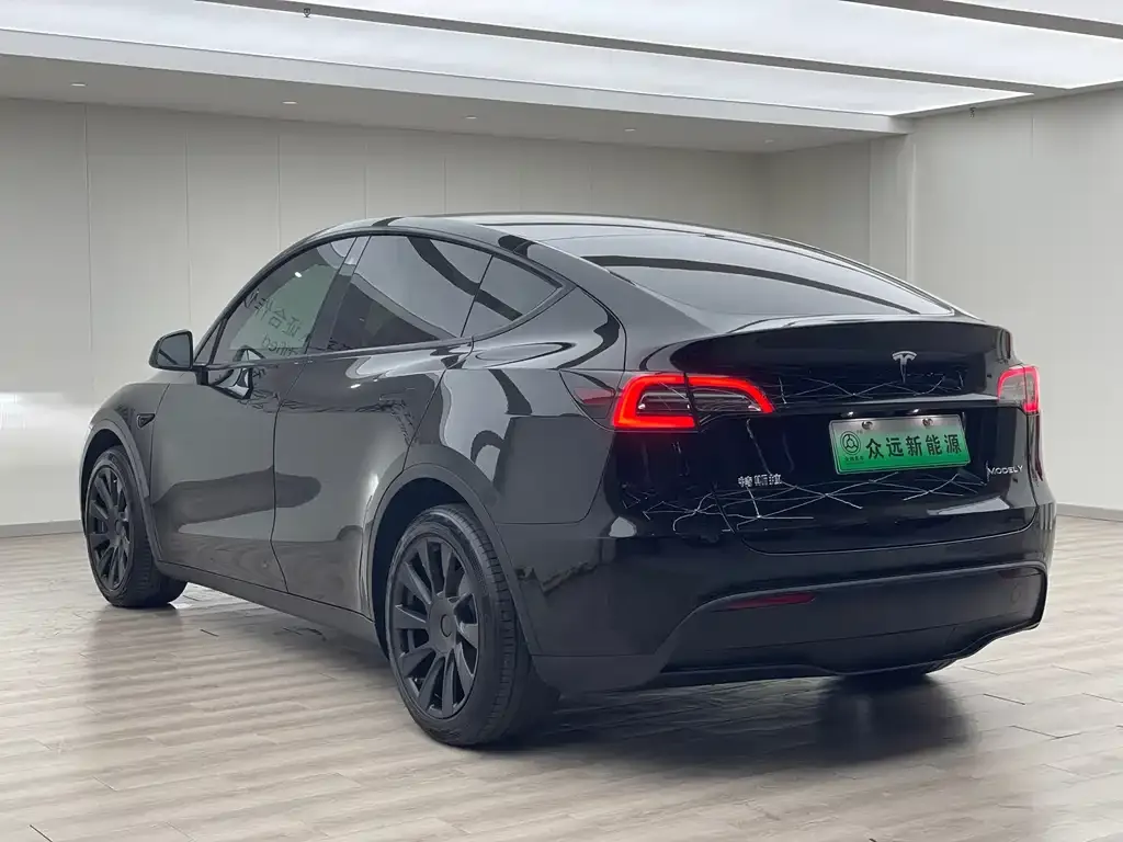 Tesla Model Y 2021 из CN, фото 10