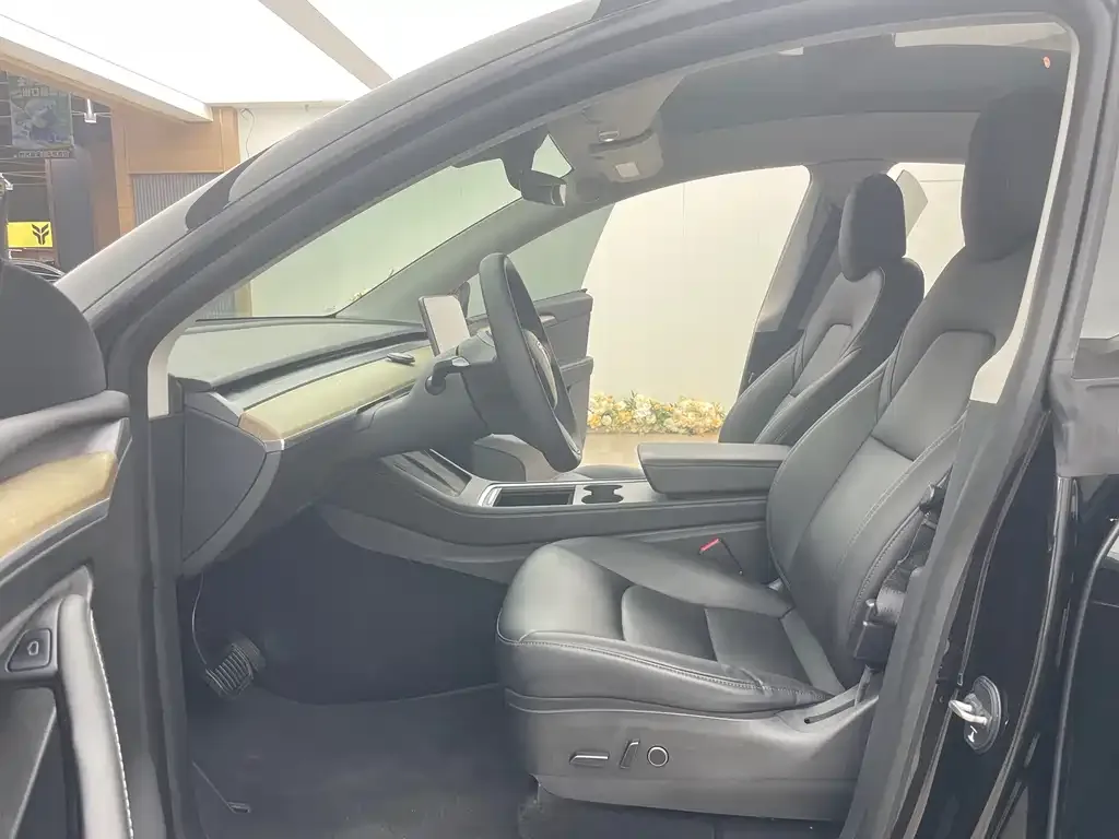 Tesla Model Y 2021 из CN, фото 7
