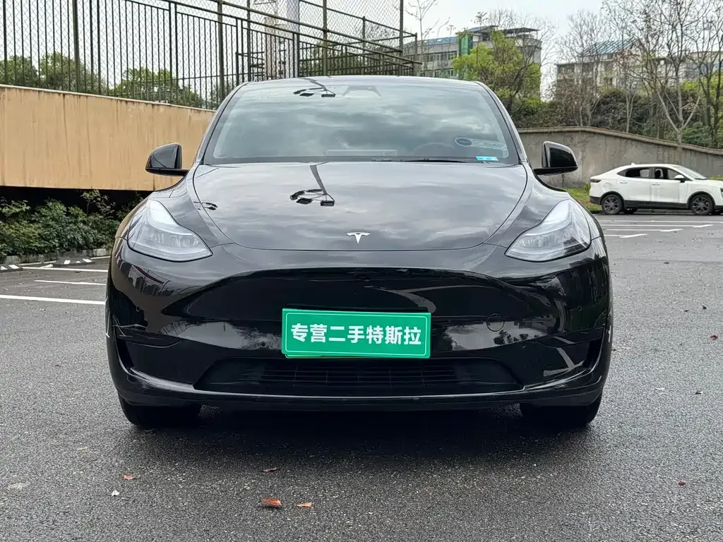 Tesla Model Y — фото 1