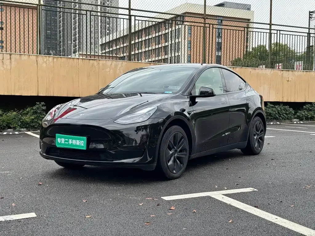 Tesla Model Y — фото 7