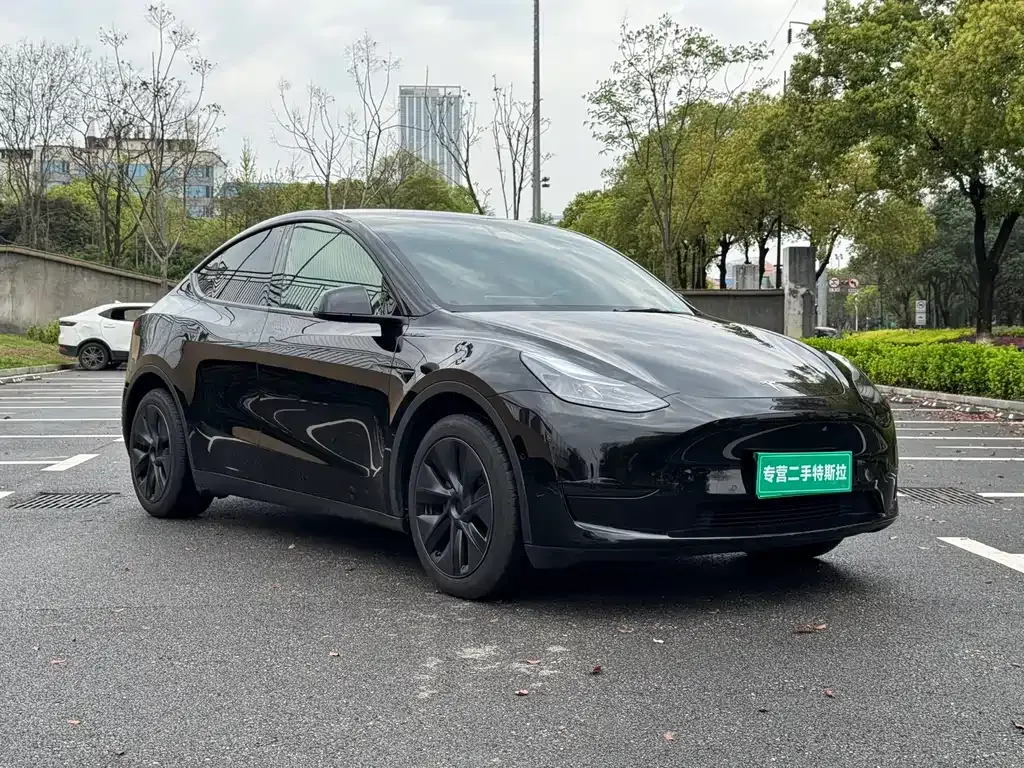 Tesla Model Y — фото 9