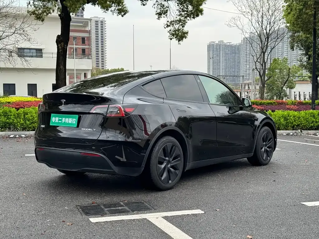 Tesla Model Y — фото 5