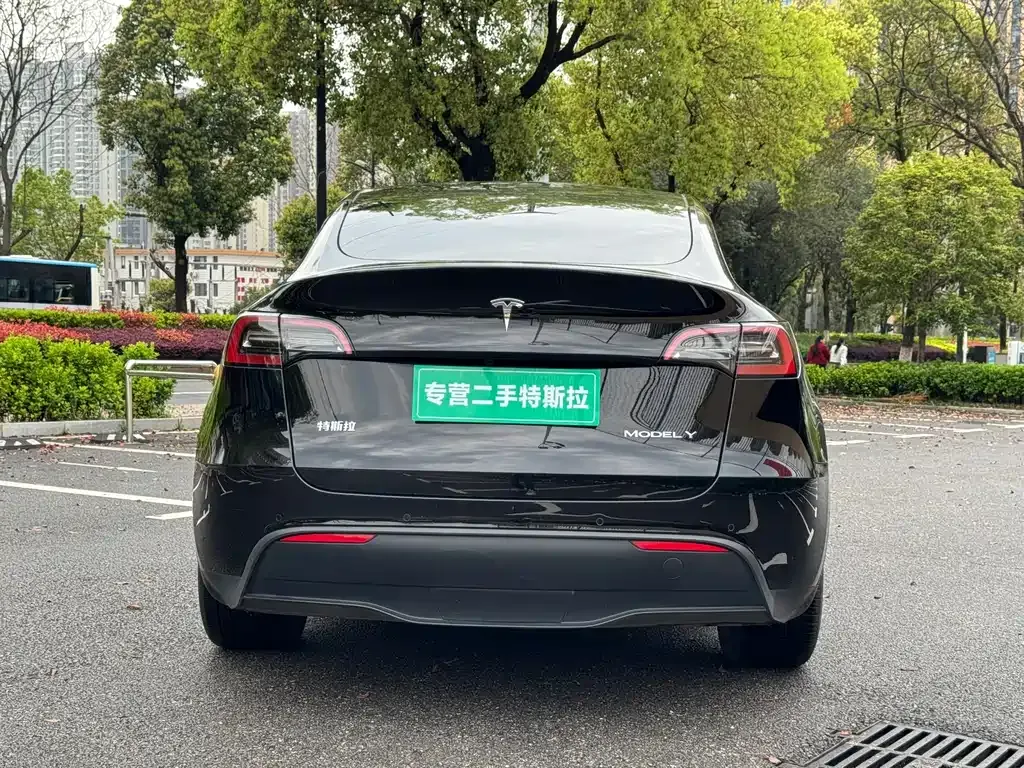 Tesla Model Y — фото 6