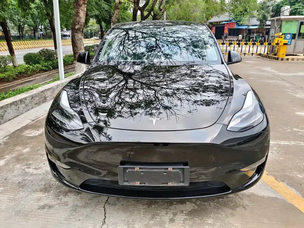 Tesla Model Y — фото 7