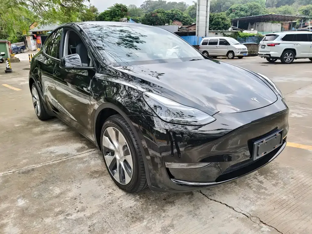 Tesla Model Y — фото 6
