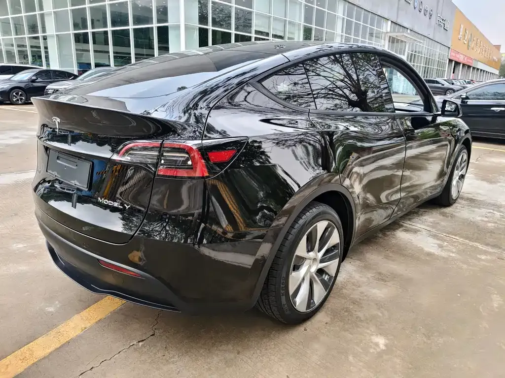 Tesla Model Y — фото 10