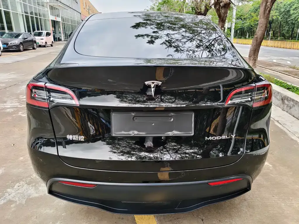Tesla Model Y — фото 3