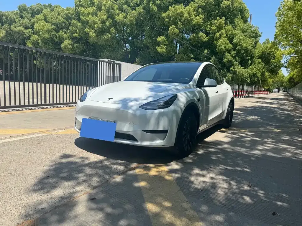 Tesla Model Y — фото 1