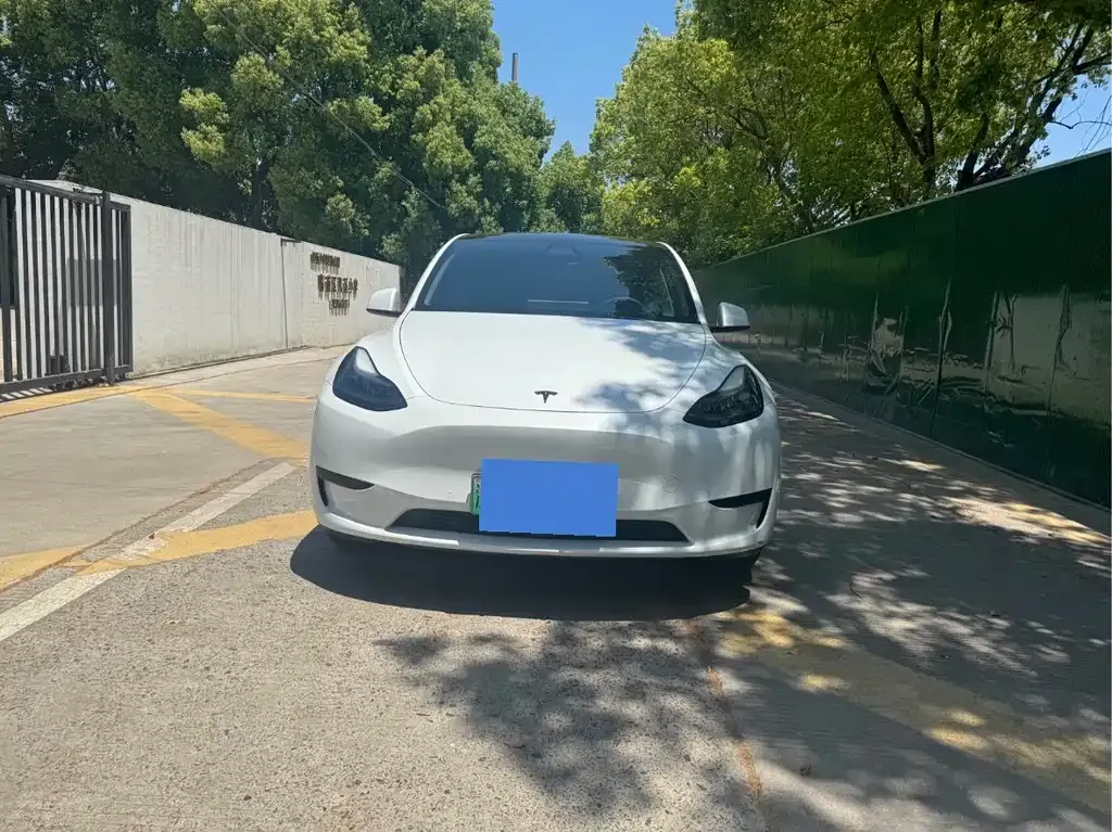 Tesla Model Y — фото 7