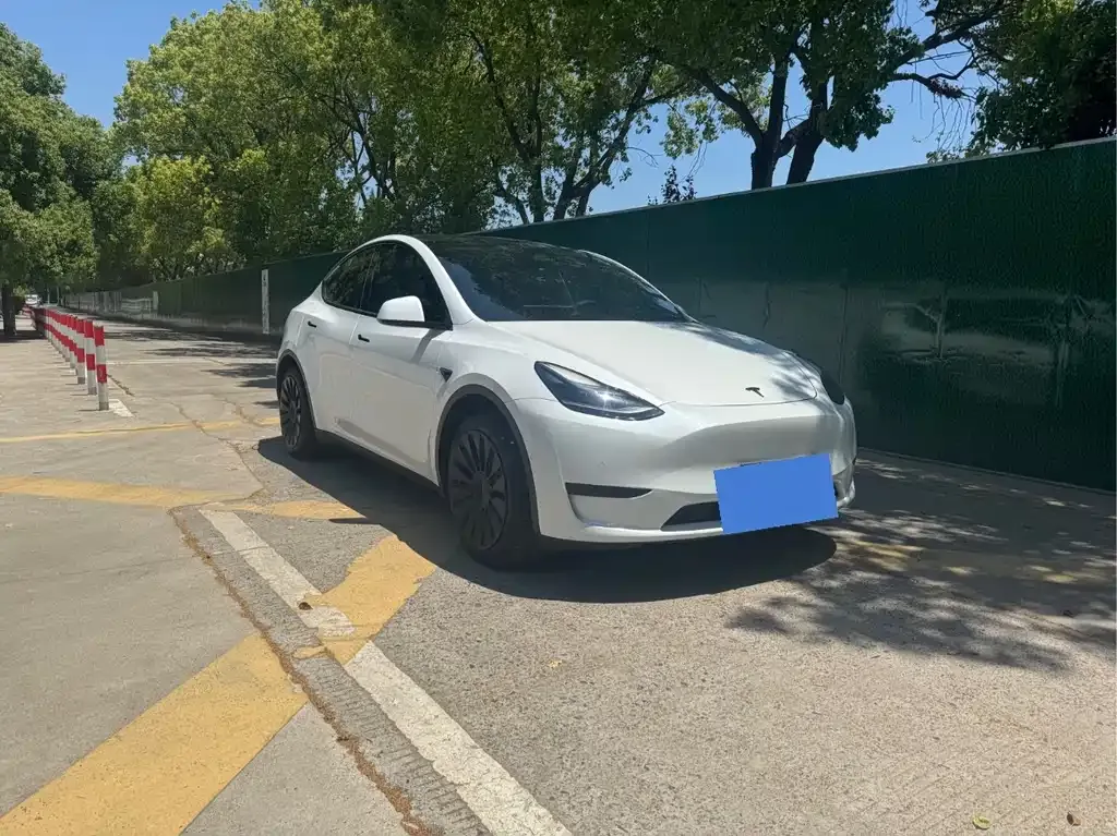 Tesla Model Y — фото 9