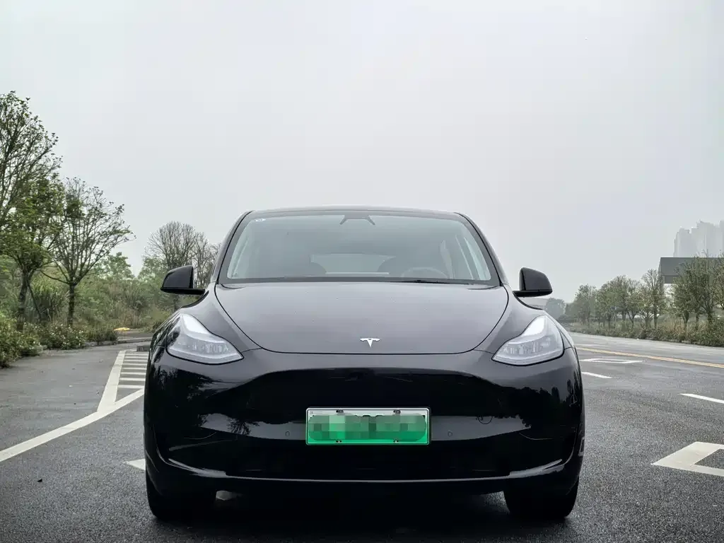 Tesla Model Y — фото 2